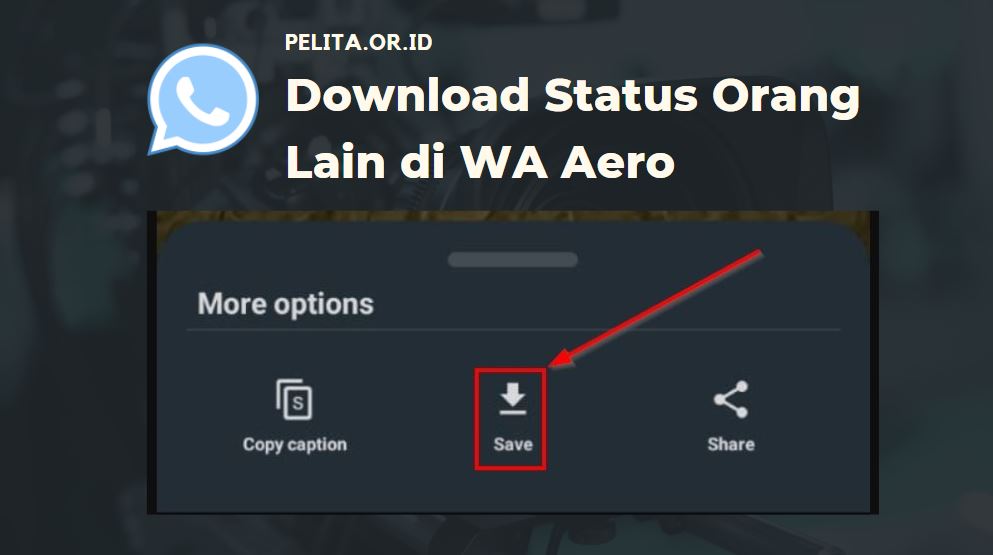 Download Status Orang Lain Di Wa Aero
