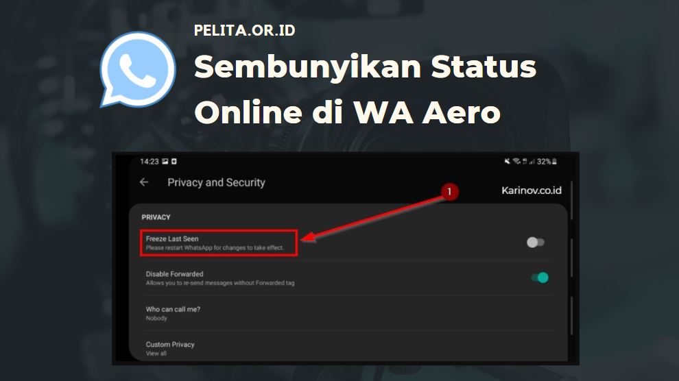 Sembunyikan Status Online Di Wa Aero