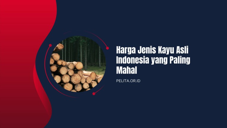 Cover Harga Jenis Kayu Asli Indonesia Yang Paling Mahal